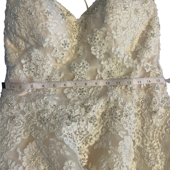 Elegant Lace Wedding Dress - Picture 16 of 16